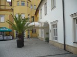 P1050004