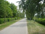 P1050008